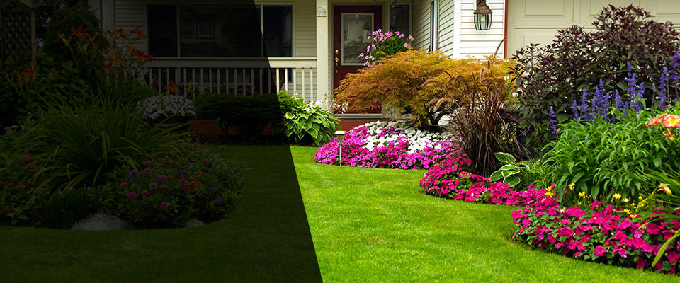 Etters Landscapers