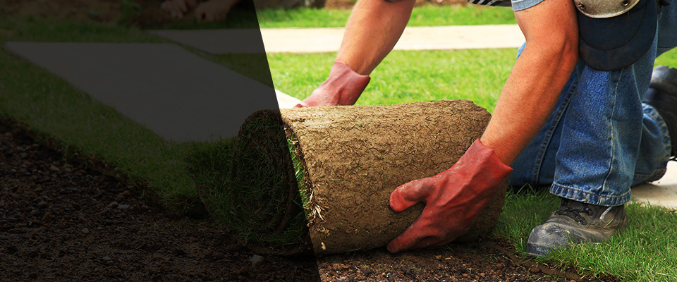 Etters Landscapers